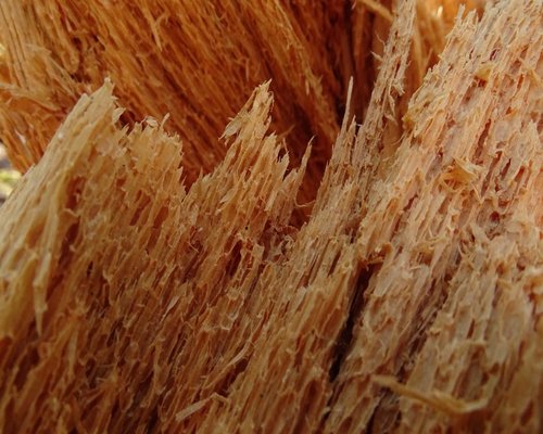 Close up of raw fiber rich food texture